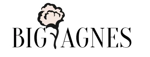 Big Agnes Sales Store