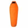 Discount ❤️ Sleeping Bags Big Agnes Lost 🐶 Dog 15 Sleeping Bag 🧨